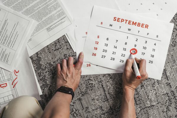 Sui’s Ascent: Will This Blockchain Revolutionize Crypto?