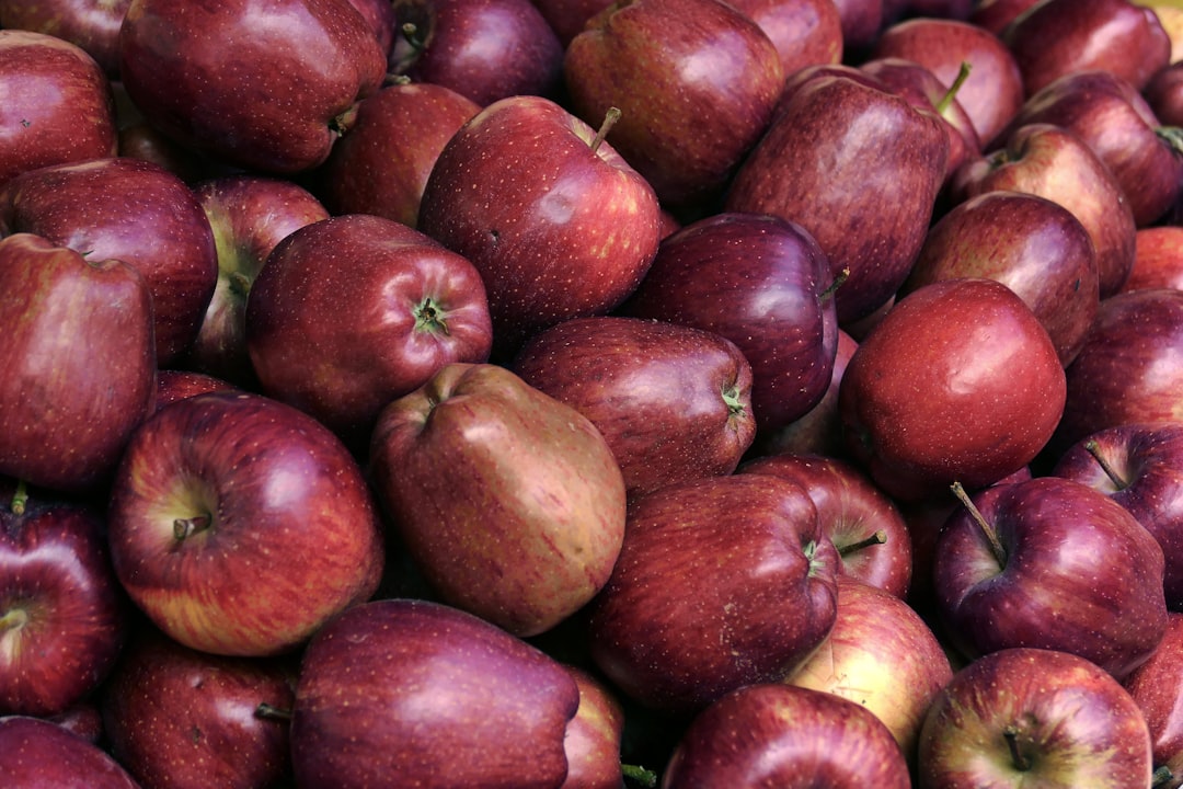 Discover the Health Benefits of Red Fruit