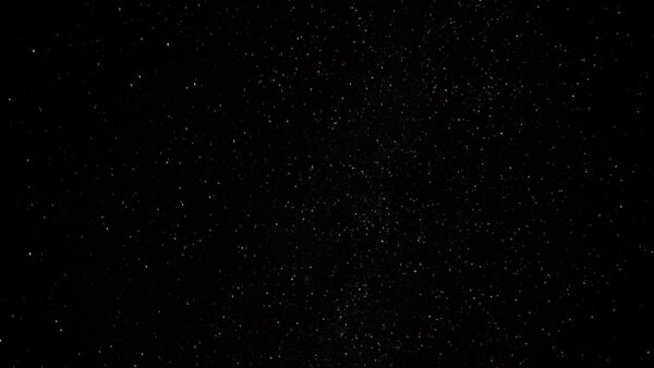 Mastering Precision with Black Eagle Arrows