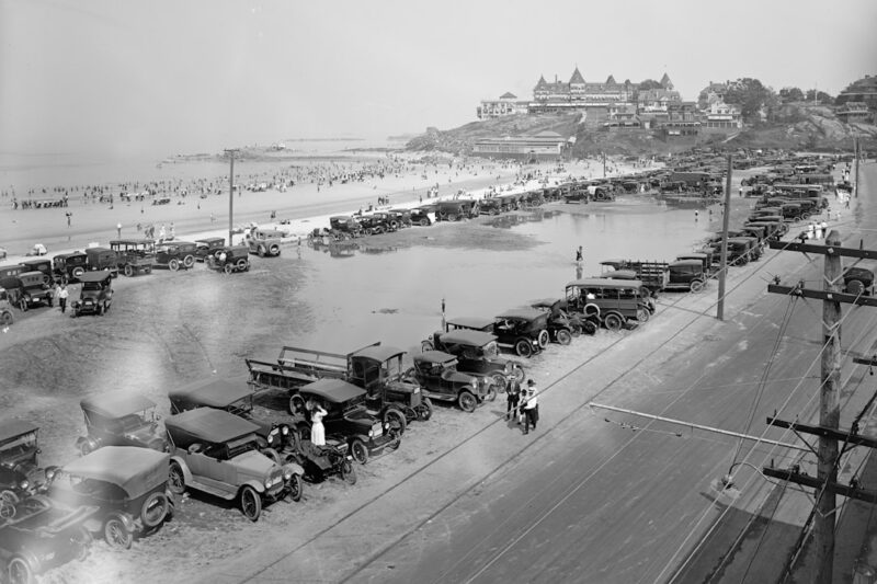 The Benefits of Honduran Sea Moss: A Natural Superfood