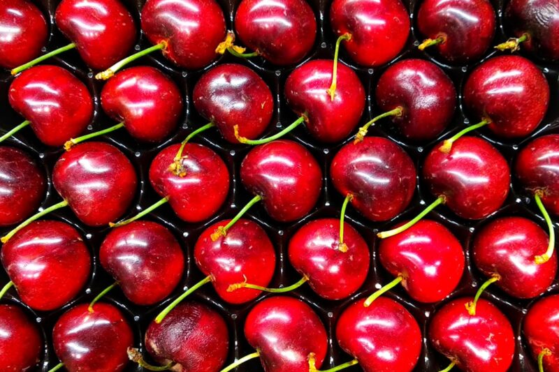 Exploring the World of Cherries: Bing, Rainier, and More!